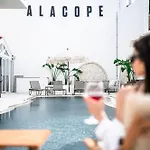 Alacope *